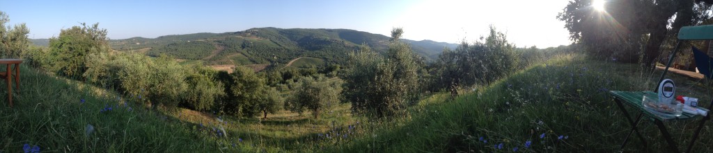 foto 1 (2)